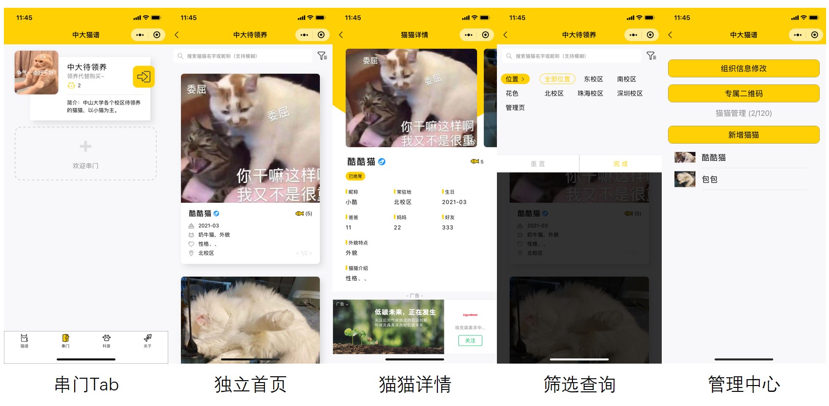 校园流浪猫信息记录和分享的小程序源码插图2